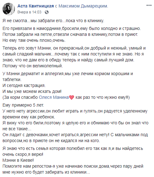 &quot;Бросили на улице&quot;: в Киеве ищут семью для милого пса (фото)